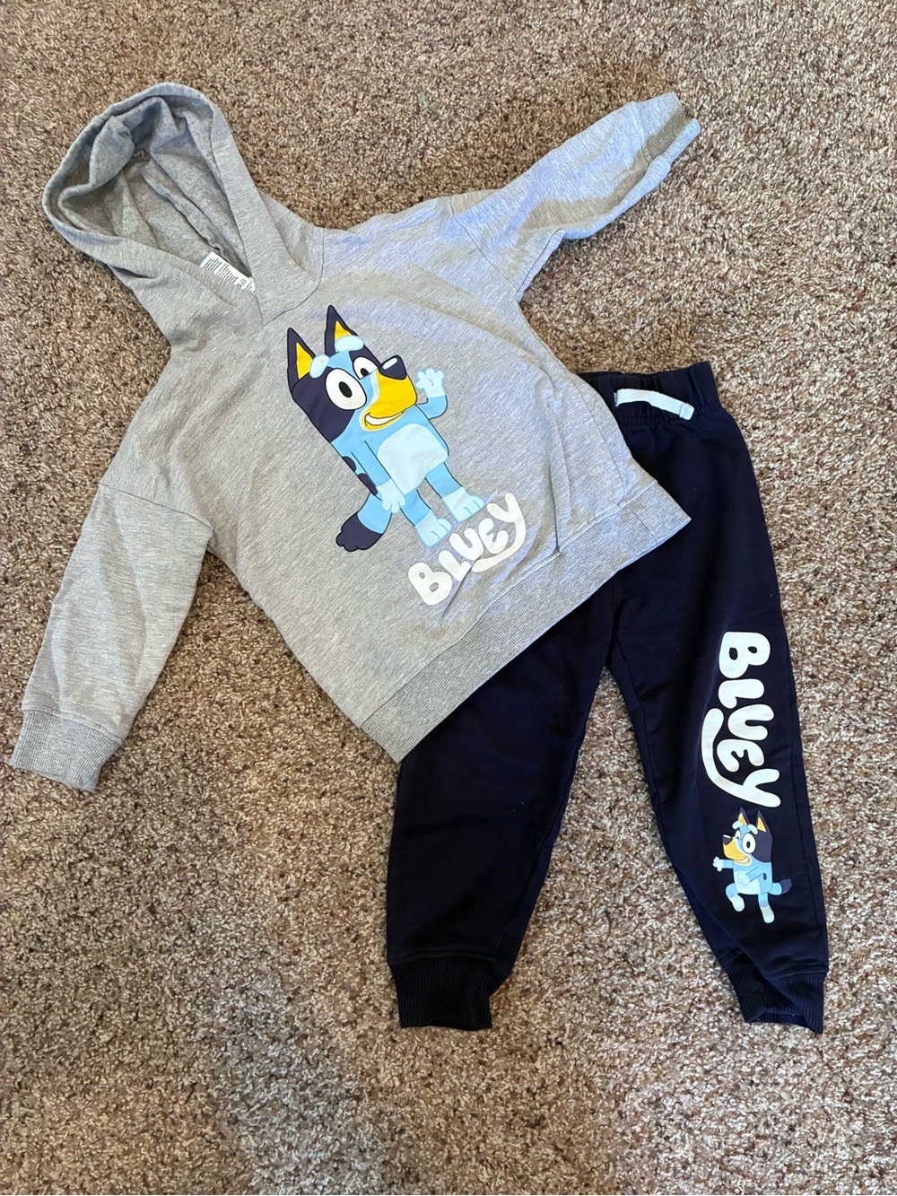 Bluey Hoodie and Joggers